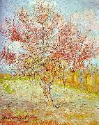 Vincent Van Gogh Peach Tree in Bloom oil painting reproduction